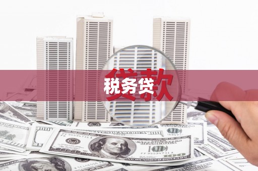 德阳税务贷