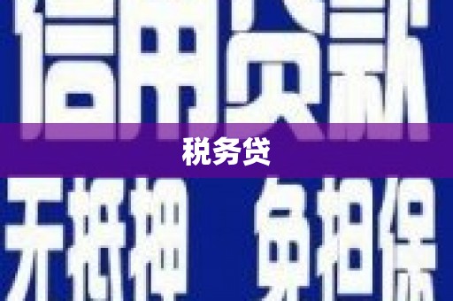 德阳税务贷