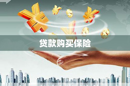 德阳贷款购买保险