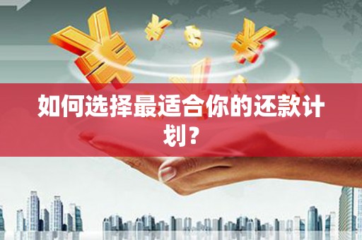 德阳如何选择最适合你的还款计划？
