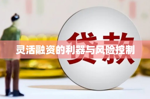 德阳灵活融资的利器与风险控制