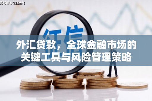 德阳外汇贷款，全球金融市场的关键工具与风险管理策略
