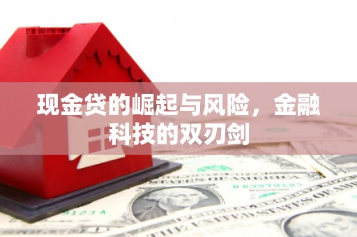 德阳现金贷的崛起与风险，金融科技的双刃剑