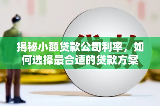 德阳揭秘小额贷款公司利率，如何选择最合适的贷款方案