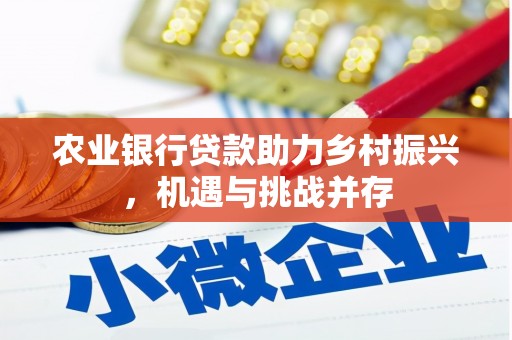 德阳农业银行贷款助力乡村振兴，机遇与挑战并存