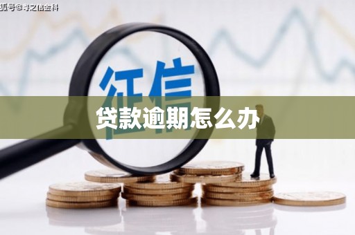 德阳贷款逾期怎么办
