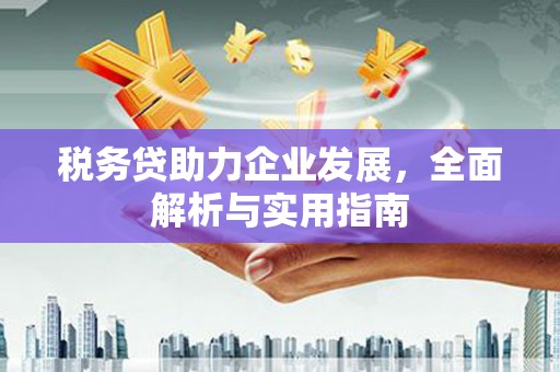 德阳税务贷助力企业发展，全面解析与实用指南