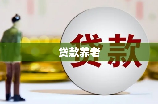 德阳贷款养老