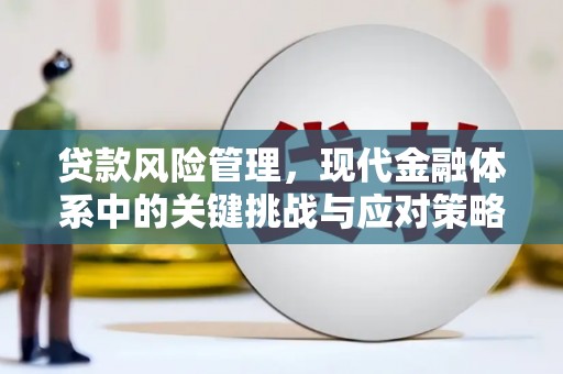 德阳贷款风险管理，现代金融体系中的关键挑战与应对策略