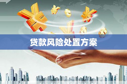 德阳贷款风险处置方案